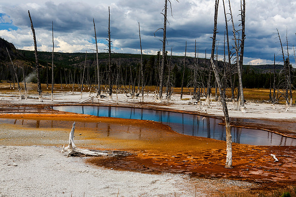 Opalescent Pool