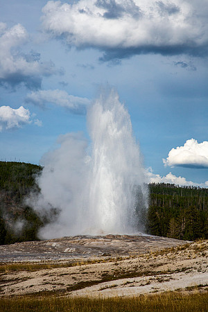 Old Faithful - Yellowstone - 2015
