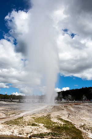 Beehive and Beehive Indicator Geysers erupting