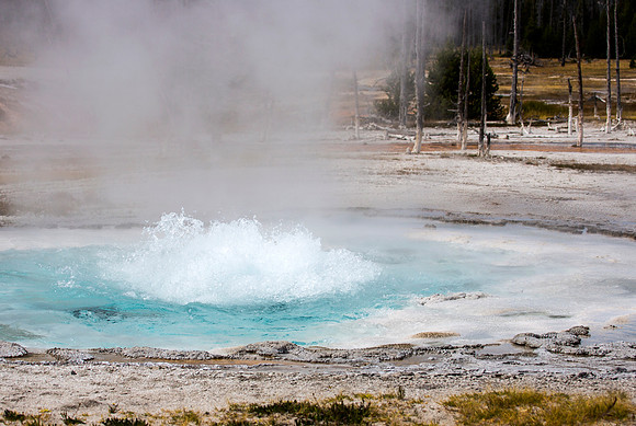 Spouter Geyser - Black Sand Basin - Yellowstone National Park