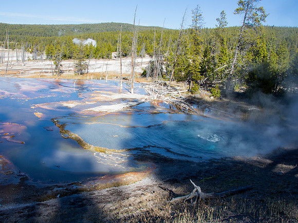 Firehole Springs - Lower Geyser Basin/Firehole Lake Drive - Yellowstone National Park