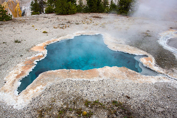 Blue Star Spring - Upper Geyser Basin - Yellowstone National Park
