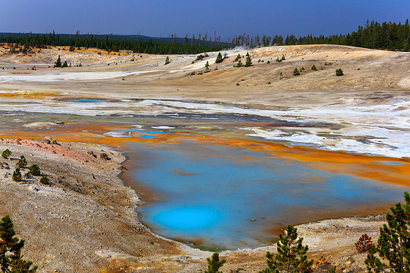 Porcelain Springs - Norris Geyser Basin - Yellowstone National Park
