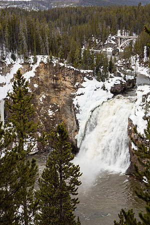 Upper Falls - Yellowstone National Park
