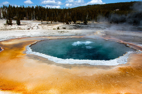 Crested Pool bubbling and steam rising - Upper Geyser Basin - Yellowstone National Park