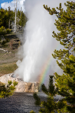 Riverside Geyser with rainbow - Upper Geyser Basin - Yellowstone National Park