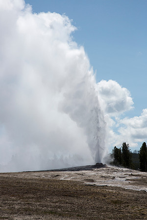 Old Faithful Geyser - from the north side