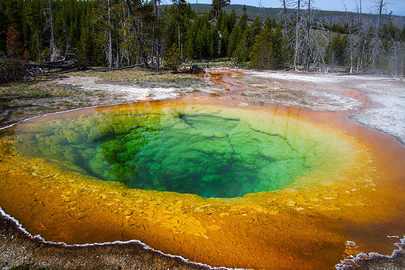 Morning Glory Pool - Upper Geyser Basin