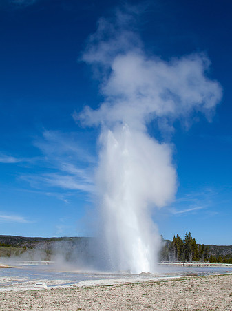 Daisy Geyser - Upper Geyser Basin - Yellowstone National Park