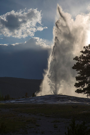 Old Faithful Geyser - Upper Geyser Basin - Yellowstone National Park