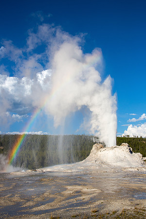 Castle Geyser - Steam Phase with rainbow - Upper Geyser Basin