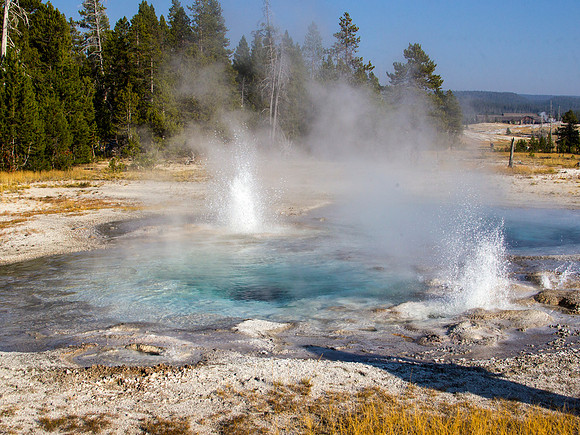 Spasmodic Geyser - Sawmill Group - Yellowstone National Park