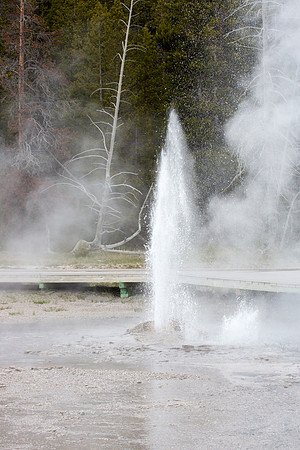 Penta Geyser - Upper Geyser Basin - Yellowstone National Park
