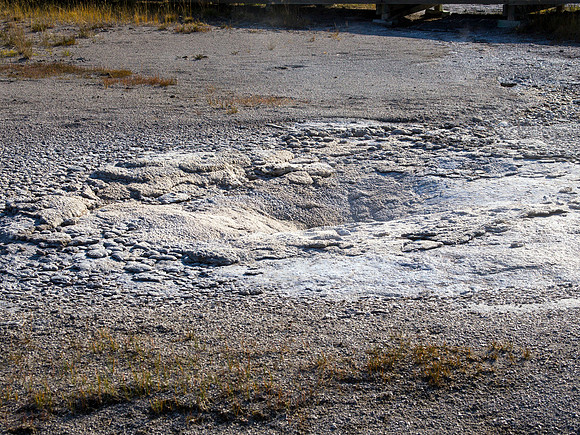 Old Tardy Geyser- Sawmill Group - Yellowstone National Park