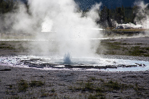Tardy Geyser - Sawmill Group - Yellowstone National Park
