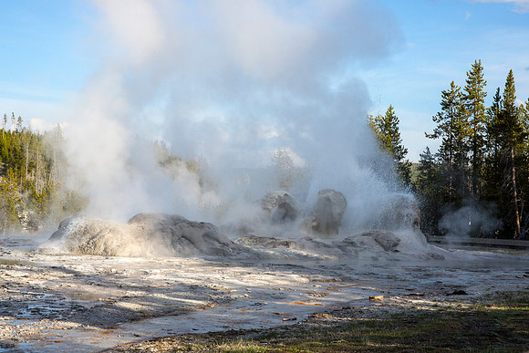 Grotto Geyser - Upper Geyser Basin - Yellowstone National Park