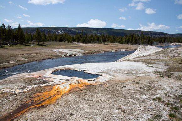 South Scalloped Spring - Sawmill Group - Yellowstone National Park