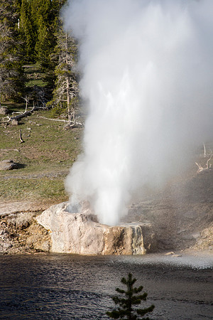 Riverside Geyser - Upper Geyser Basin - Yellowstone National Park