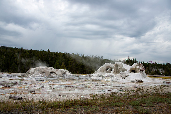 Grotto Geyser in quiet period - Upper Geyser Basin - Yellowstone National Park