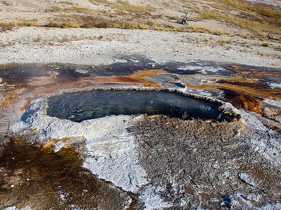 Ear Spring - Geyser Hill  - Yellowstone National Park