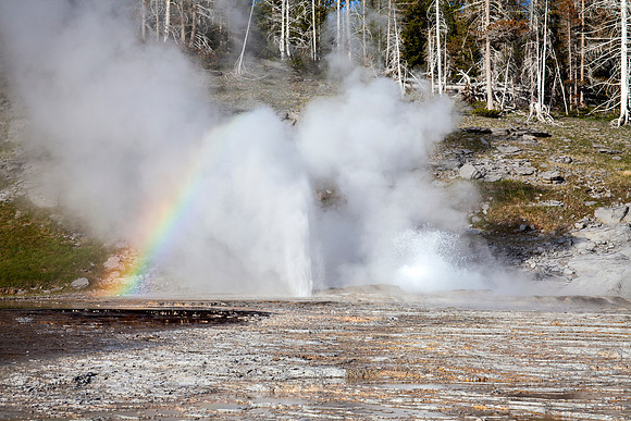 Vent and Turban Geyser continue to erupt after Grand stops - UGB - YNP