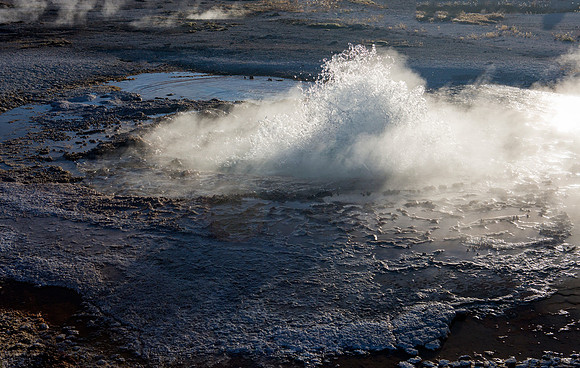 Mustard Spring - Biscuit Basin - Yellowstone National Park