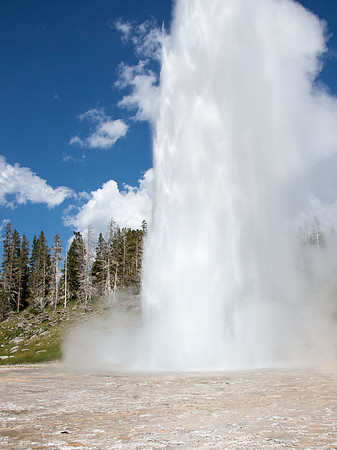 Grand Geyser - Upper Geyser Basin - Yellowstone National Park
