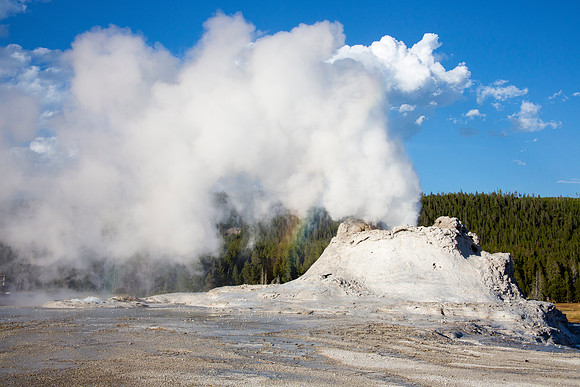 Castle Geyser steam phase - Upper Geyser Basin - Yellowstone National Park