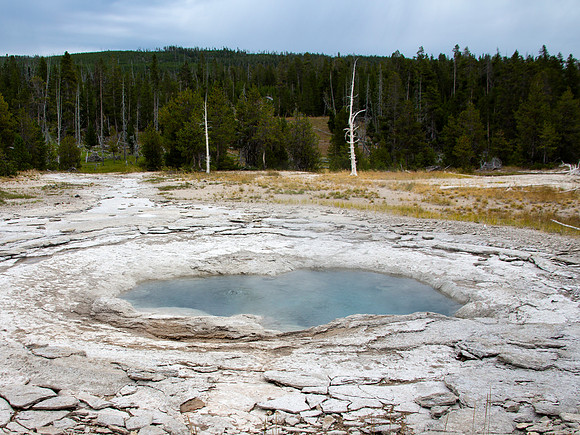Spa Geyser _ Grotto Group  - Yellowstone National Park
