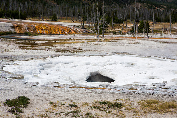 Spouter Geyser after an eruption - Black Sand Basin - Yellowstone National Park