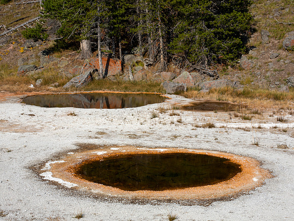 Economic Geyser and East Economic Geyser - Upper Geyser Basin - Yellowstone National Park