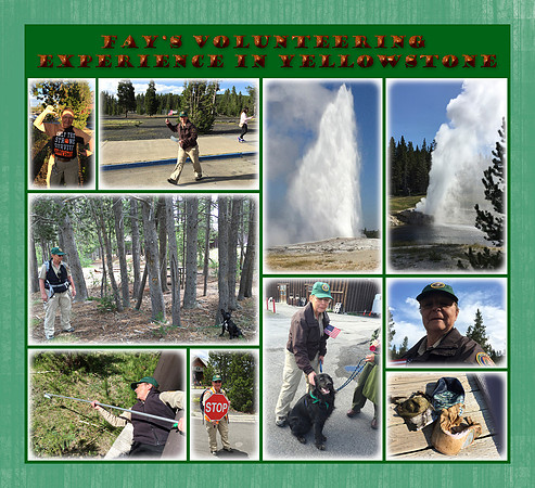 Fay's Yellowstone Volunteering Experience