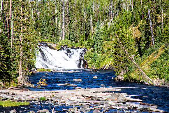 Lewis Falls - Yellowstone National Park