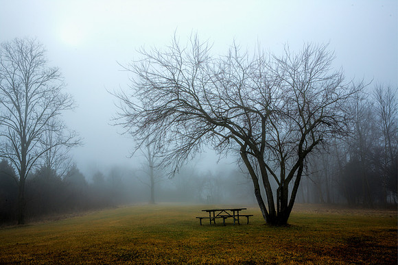 Waiting for summer picnickers