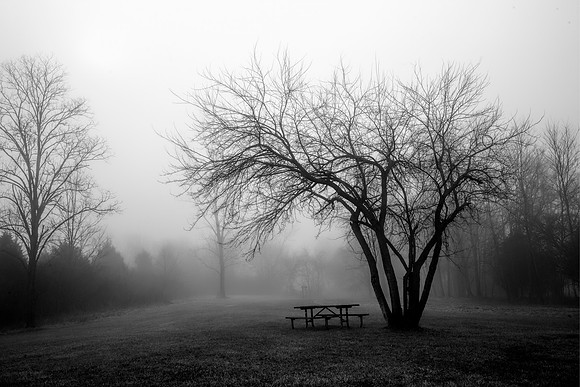 Day 4 - Foggy morning - A table for 6 ready