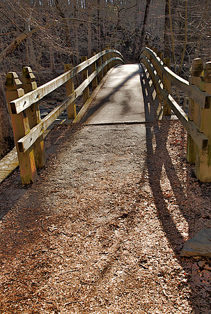 Some days I just have to ask. Am I coming or going? - Rock Creek Park Washington DC