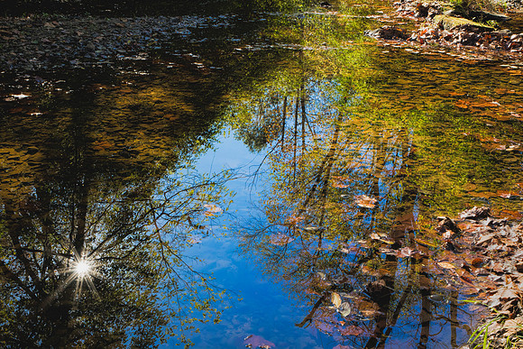 Some days the world just looks better or makes more sense upside down - Billie Creek Village, IN