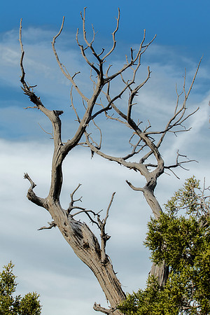 Life, death, with hope - Utah