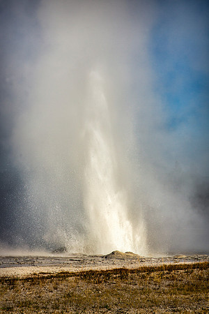 Daisy Geyser in full eruption - one of the predicted geysers - Upper Geyser Basin