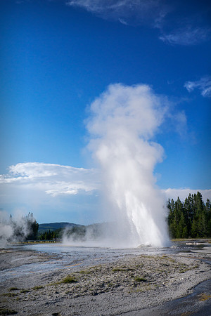 Daisy Geyser - Upper Geyser Basin