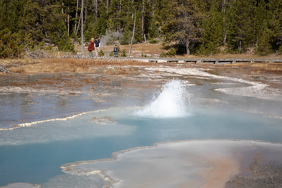 Eruption of Doublet Pool - Upper Geyser Basin