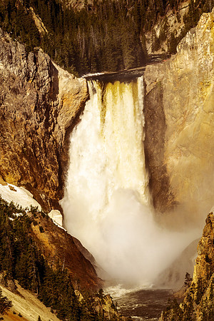 Lower Falls - Yellowstone National Park
