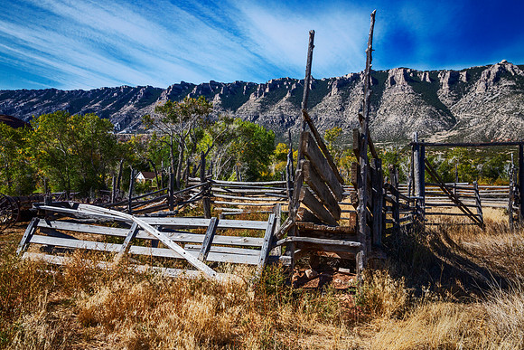Coral - Bighorn Canyon National Recreation Area