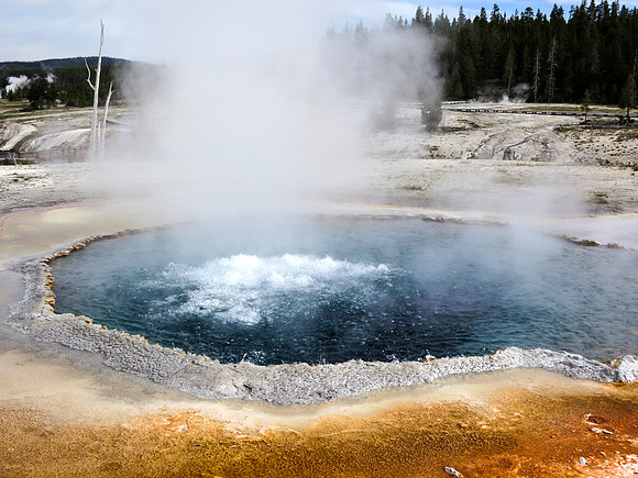Crested Pool