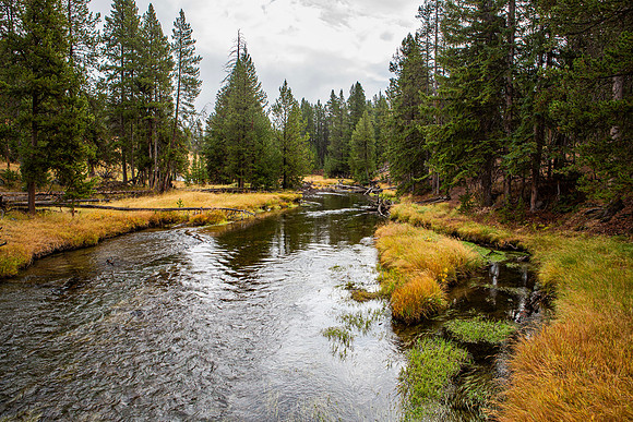 Firehole River by the Bridge going to Geyser Hill - UGB - 2012