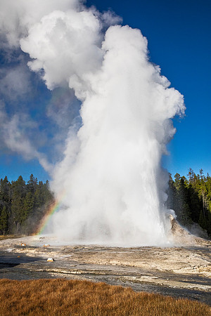Giant Geyser - Upper Geyser Basin - 9/17/2018