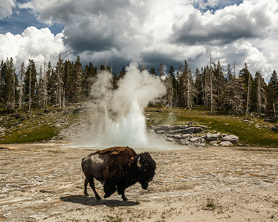 "Seen one geyser you have seen them all." Grand Geyser, Upper Geyser Basin, Yellowstone NP
