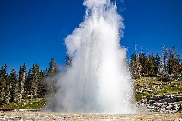 Grand Geyser - Upper Geyser Basin - 2012