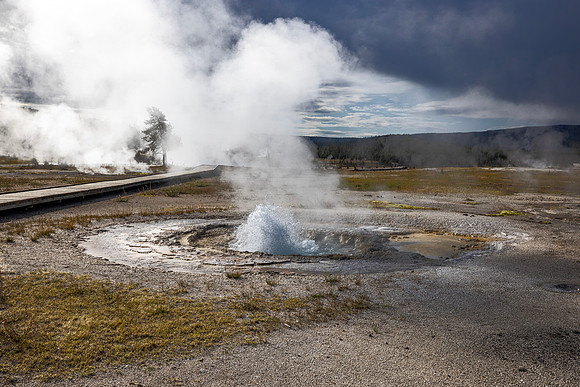 Sawmill Geyser in eruption - Upper Geyser Basin - 2023
