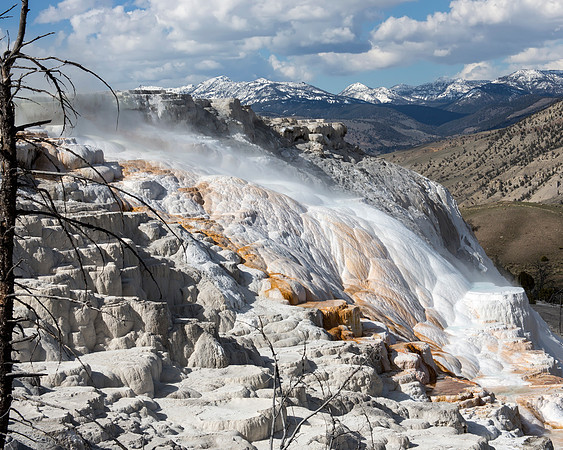 Canary Springs at Mammoth Hot Springs